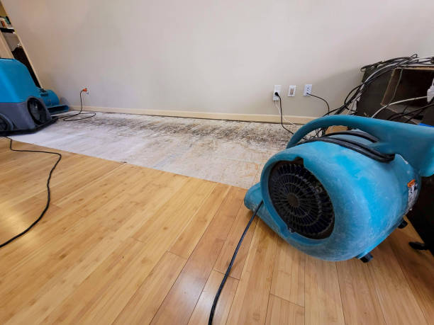 Professional Flood Damage Cleanup technician working in Saint Albans, ME